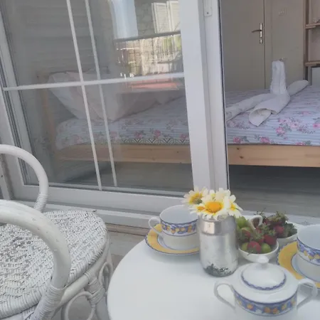 Hotel Chakra Boutique *