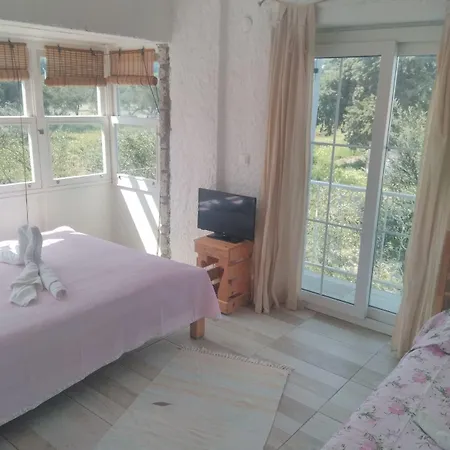 Hotel Chakra Boutique *