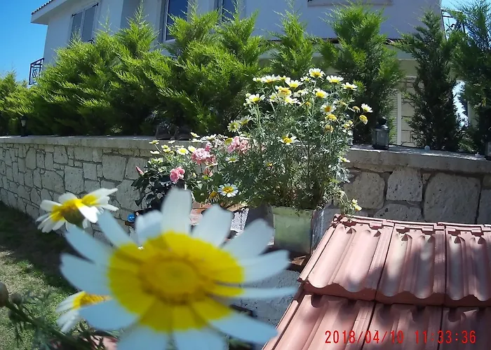 Chakra Boutique * ألاتشاتي